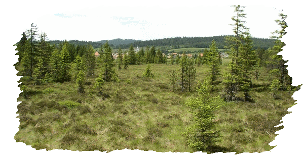 La sogne d'Auvers telle qu'elle était en 1767