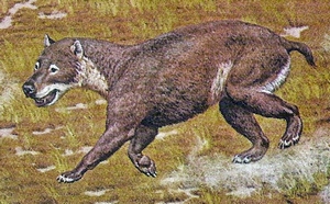 L'hémicyon, surnommé le chien-ours